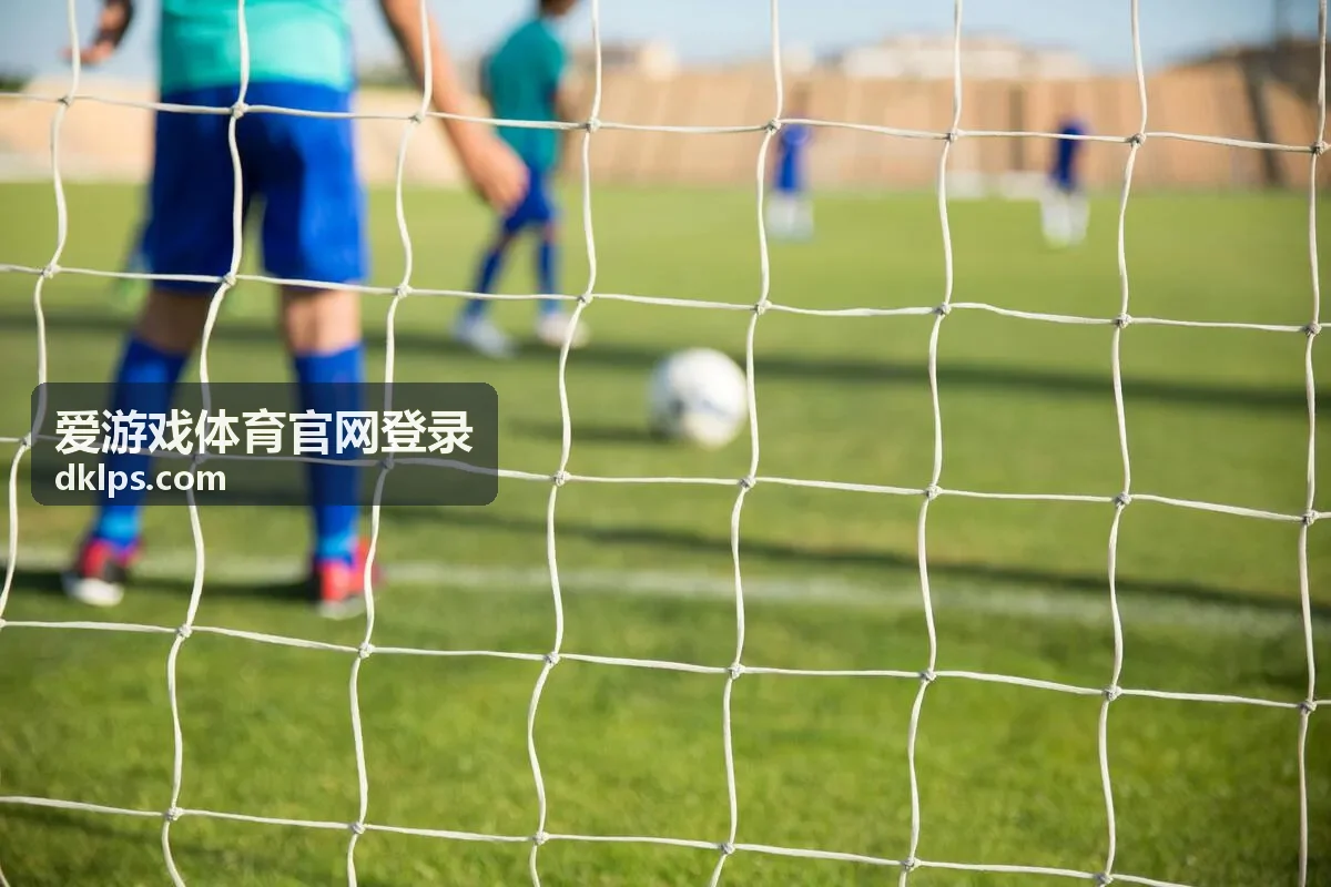爱游戏体育官网登录账号安全服务防护配图