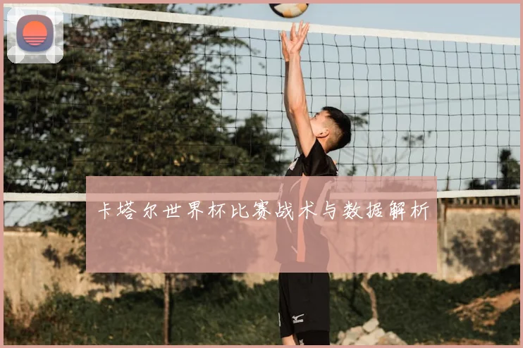 卡塔尔世界杯比赛战术与数据解析