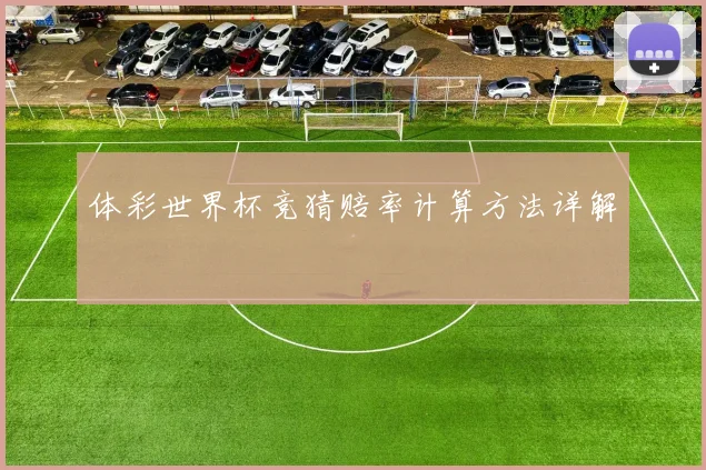 体彩世界杯竞猜赔率计算方法详解